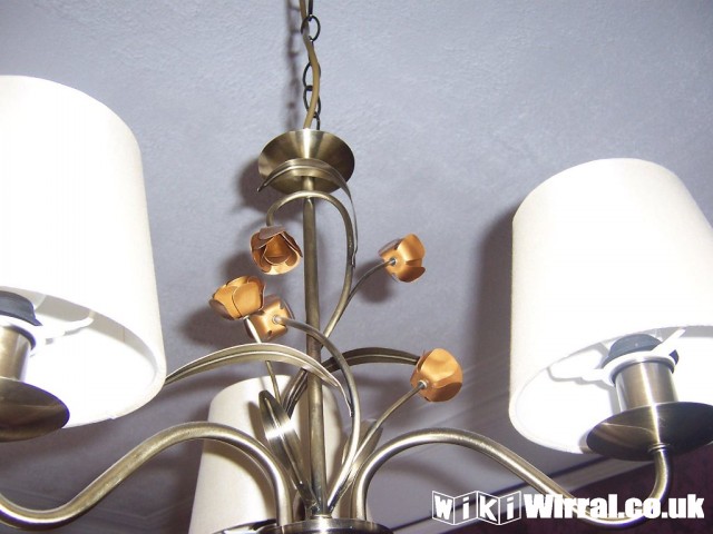 Attached picture light fitting bronze flowers.jpg